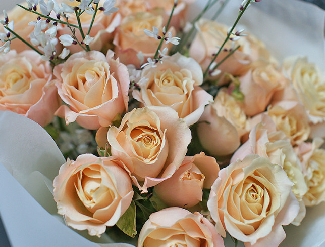 Букет из кремовых кустовых голландских роз и гениста Фото